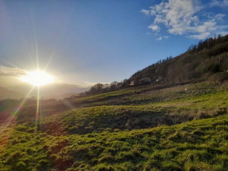 Ogi Farm Sunny Day